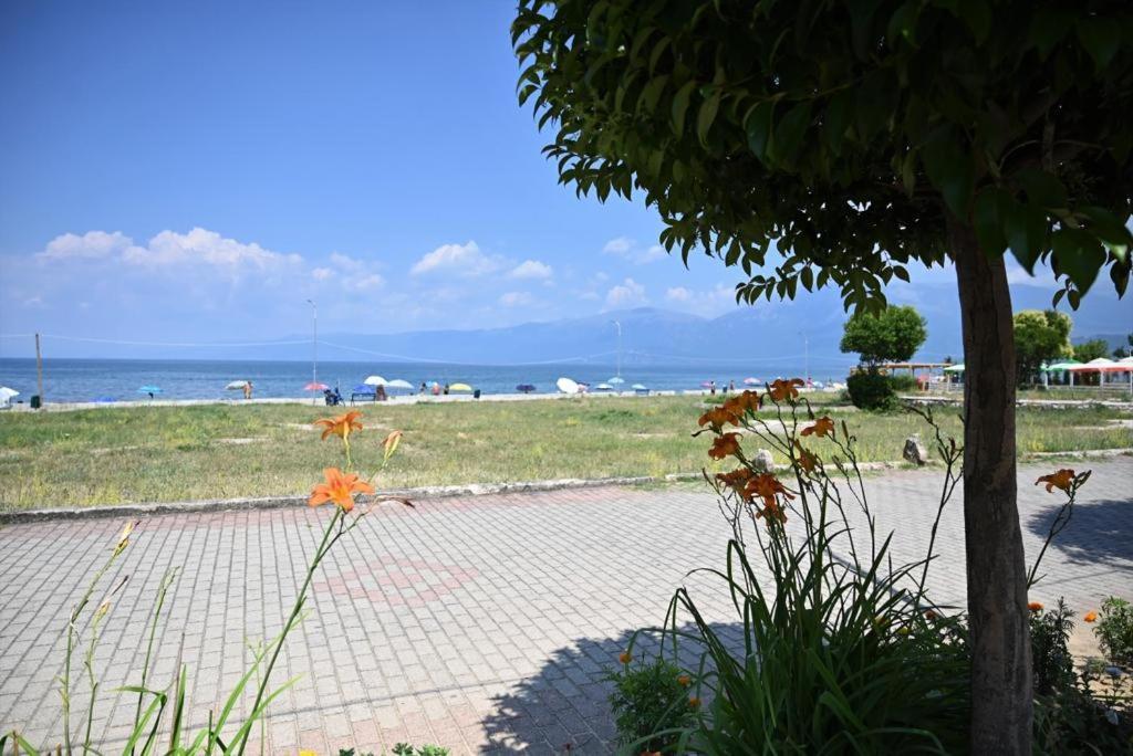 B & B Pogradec Exterior foto